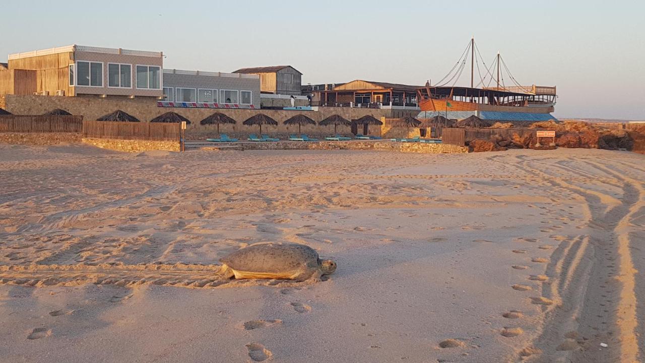 Turtle Beach Resort Ras al Hadd Exteriör bild