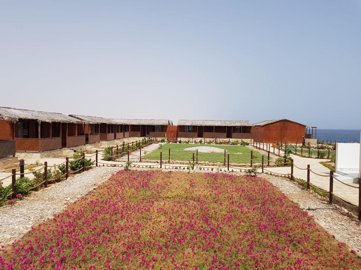 Turtle Beach Resort Ras al Hadd Exteriör bild