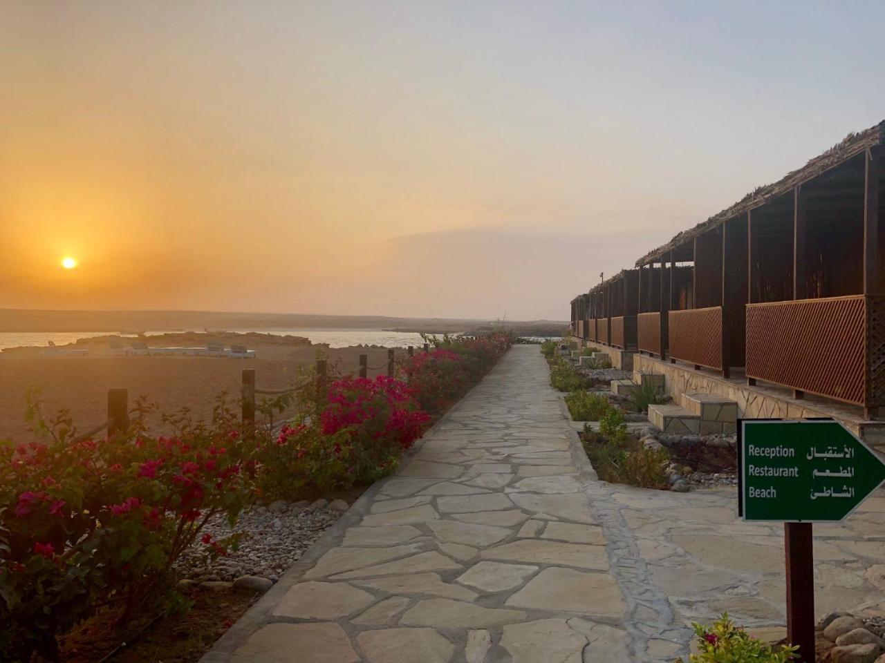 Turtle Beach Resort Ras al Hadd Exteriör bild