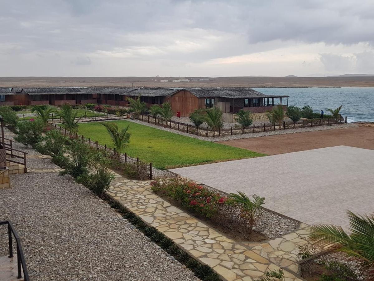Turtle Beach Resort Ras al Hadd Exteriör bild